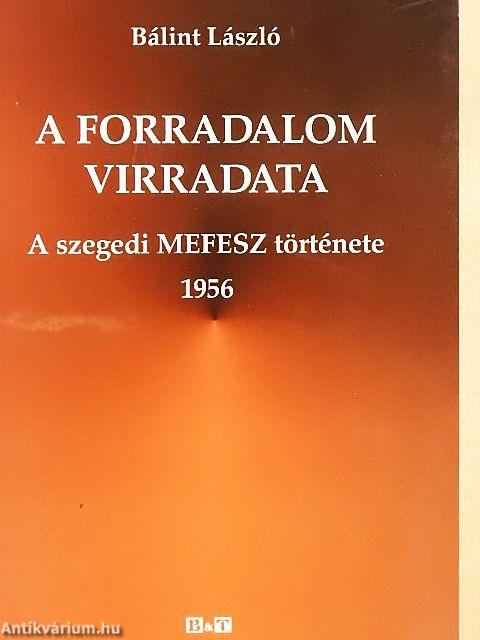 A forradalom virradata