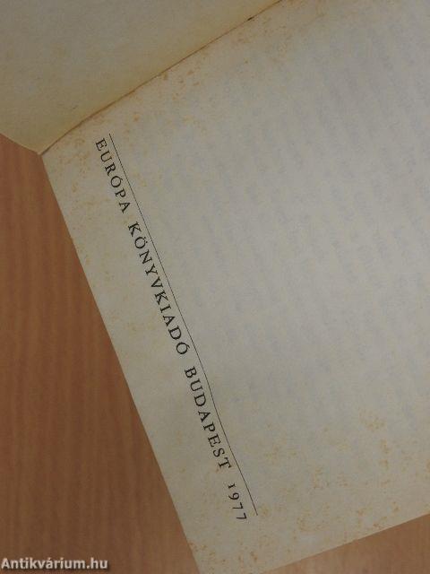 Jelen, múlt, jövő