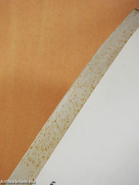 Fordulat/Biztonság/Felemelkedés