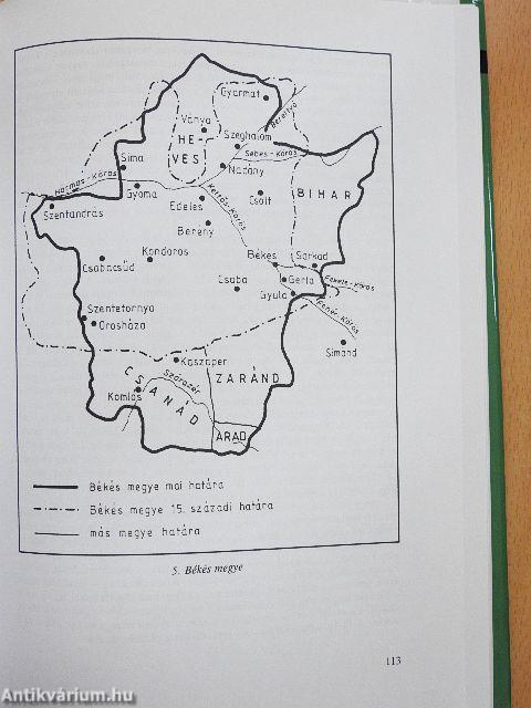 Fejezetek az Alföld középkori történetéből
