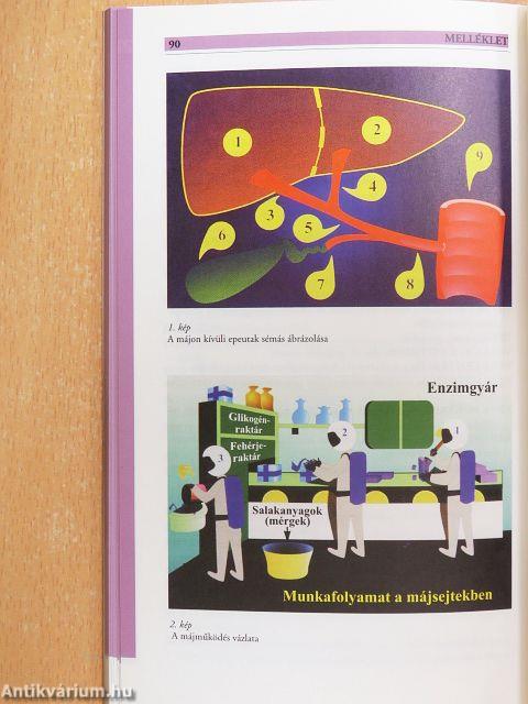 Máj- és epebetegségek