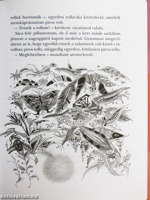 Hi-Szen, a guruló madár