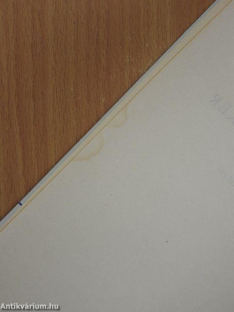 Világhír-világsiker