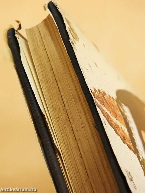 A régészet regénye