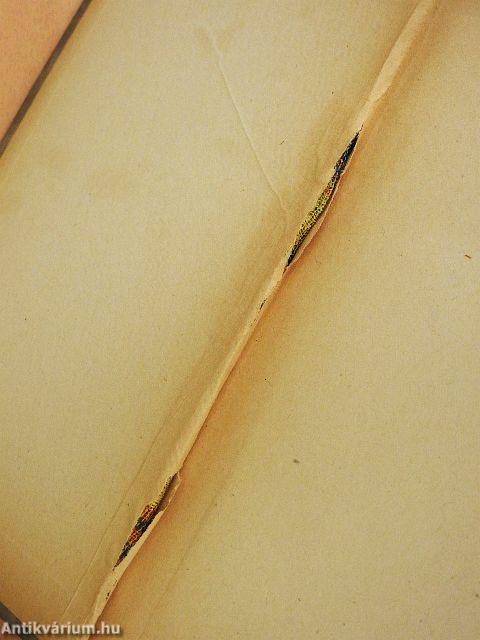 A boldogtalan Villon boldog napjai