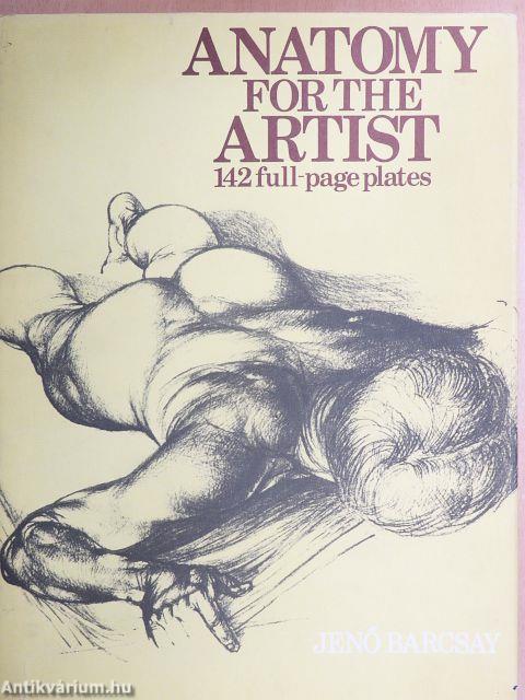 Anatomy for the artist