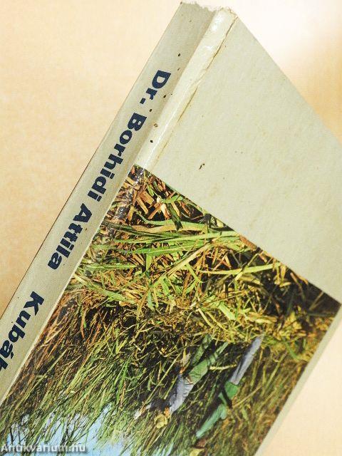 Kubában térképeztünk