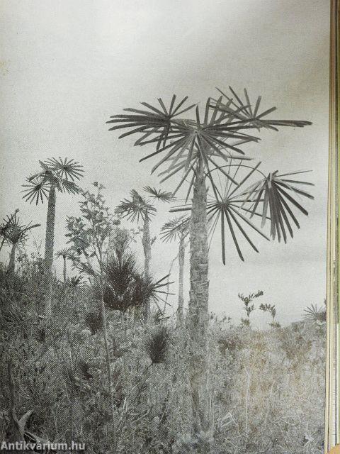 Kubában térképeztünk