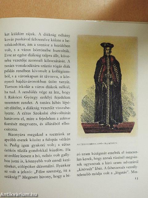 A bagolyvár és lakói