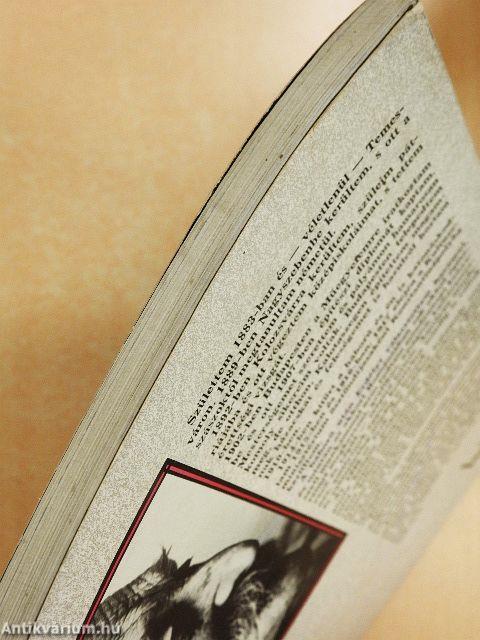 Kós Károly képeskönyv