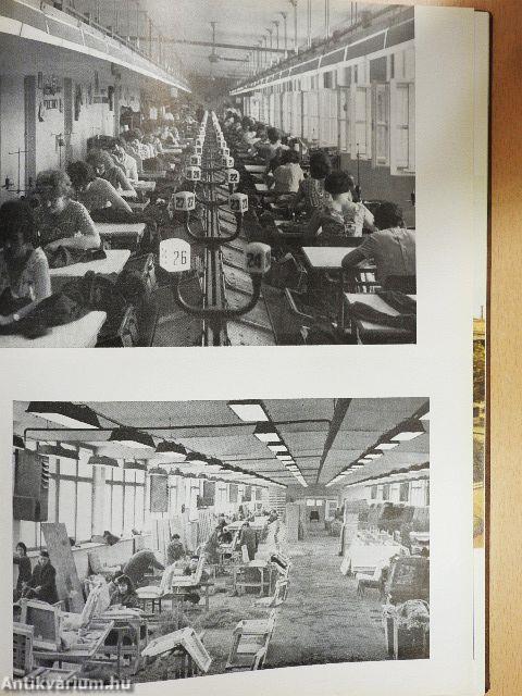 Bács-Kiskun megyei képeskönyv