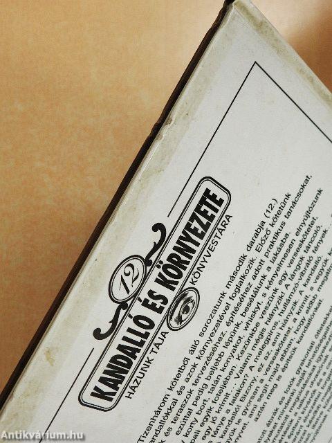 Kandalló és környezete