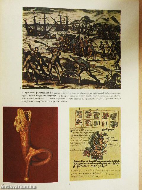 Küzdelem a tengerekért