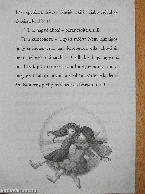 Karácsonyi tündér