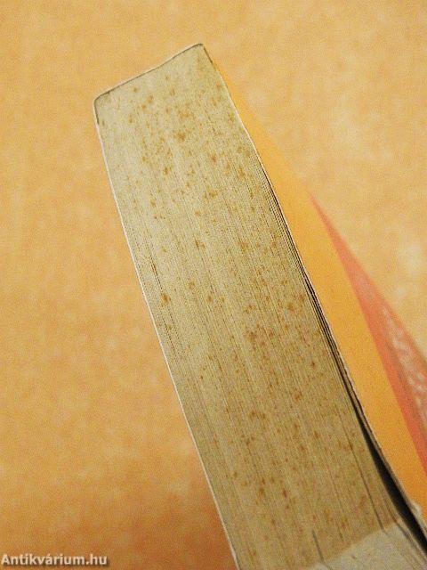 Német-magyar/magyar-német kisszótár