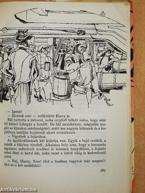 Az indián királyfi