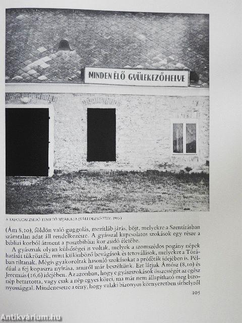 "Ex invisibilibus visibilia..."