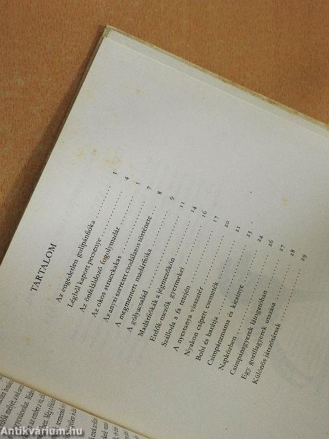 Vadállatok gyerekszobája