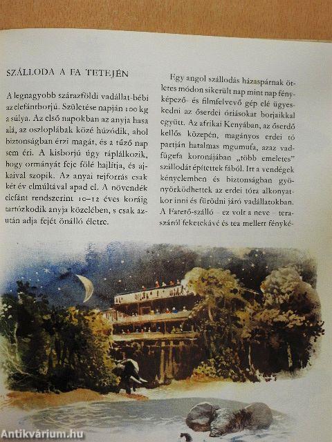 Vadállatok gyerekszobája