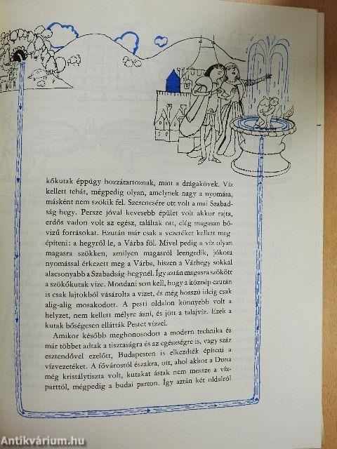 Kérdezz! Felelek mindenre