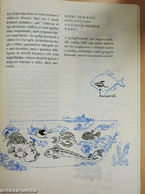 Kérdezz! Felelek mindenre