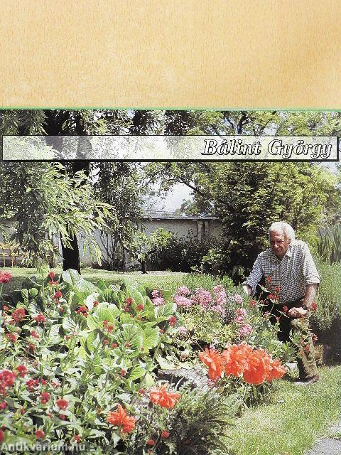 Boldog lett-e, ki kertre vágyott?