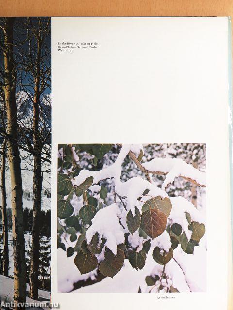 Rivers of the Rockies