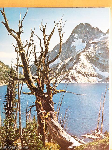 Rivers of the Rockies