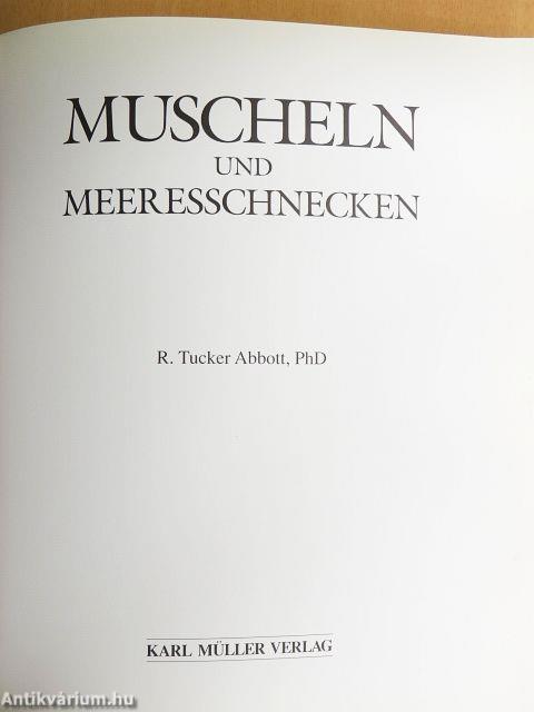 Muscheln und Meeresschnecken