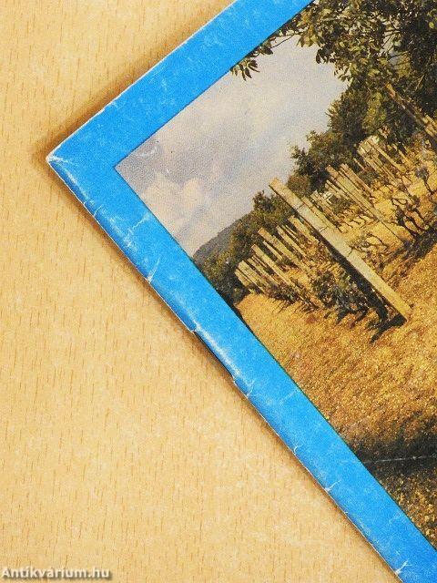 Házikertek gyomirtó szerei