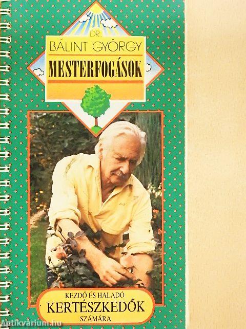 Mesterfogások