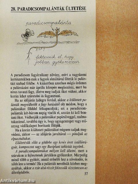 Mesterfogások