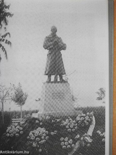 Világháborúk szegedi hősi halottai