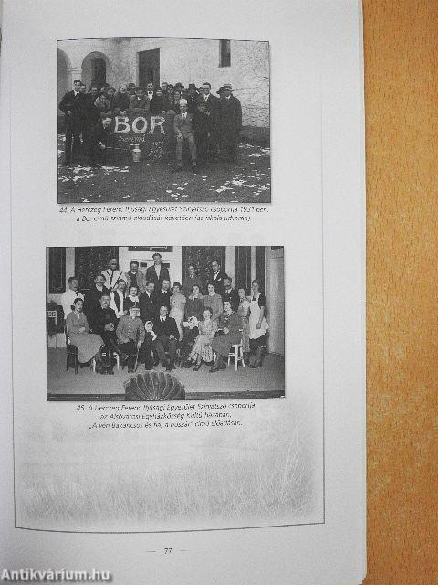 Szeged-Klebelsberg-telep története