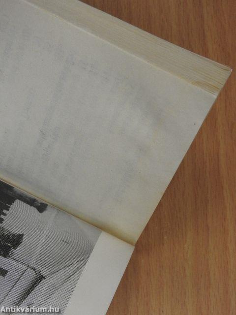 Mester Margit Mária élete