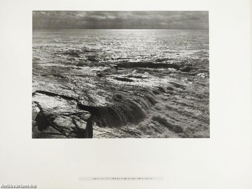 Ansel Adams - The American Wilderness