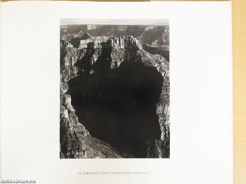 Ansel Adams - The American Wilderness