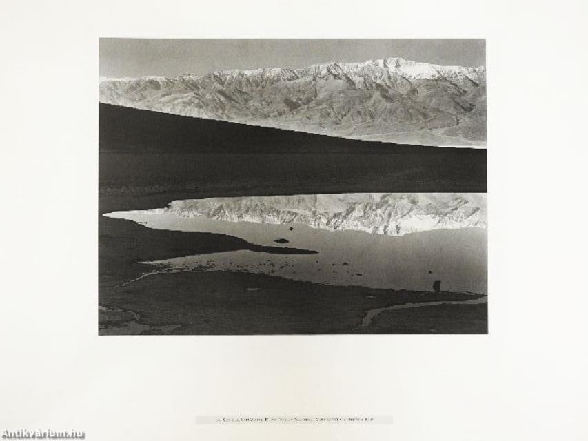 Ansel Adams - The American Wilderness