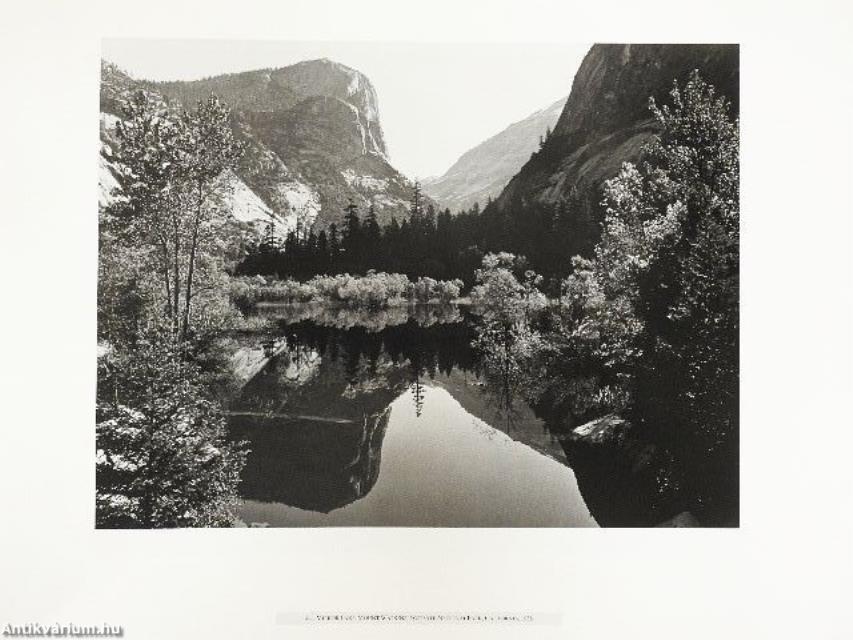 Ansel Adams - The American Wilderness
