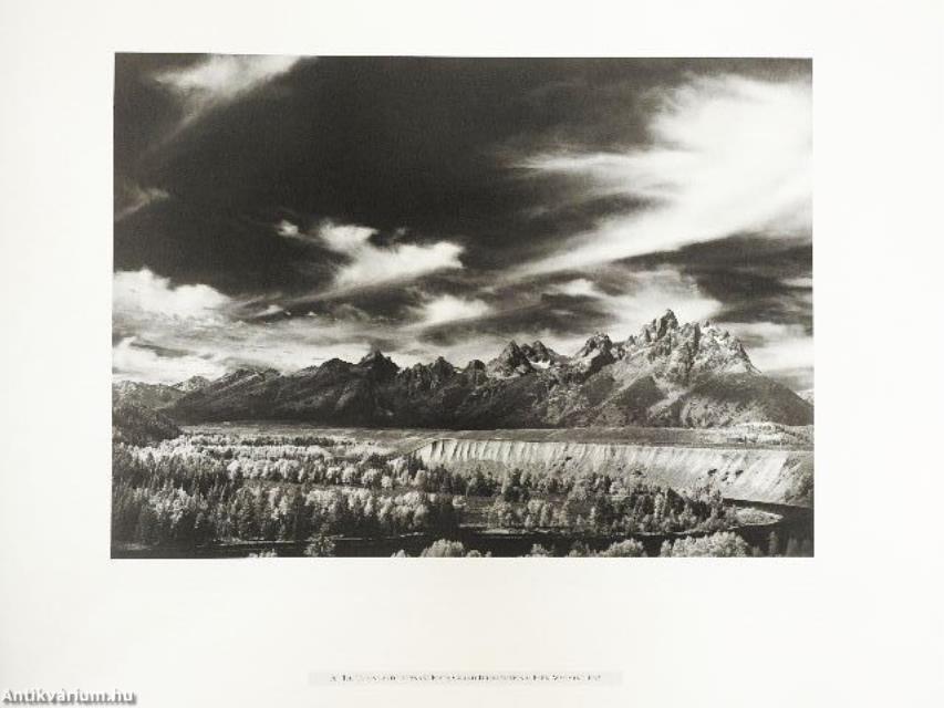 Ansel Adams - The American Wilderness