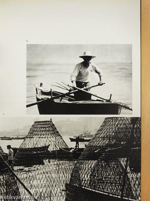 Itala nam tellus Graecia Maior erat. Ovid. 4. Fast./Taranto