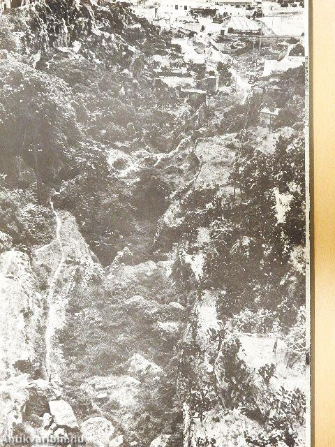 Itala nam tellus Graecia Maior erat. Ovid. 4. Fast./Taranto