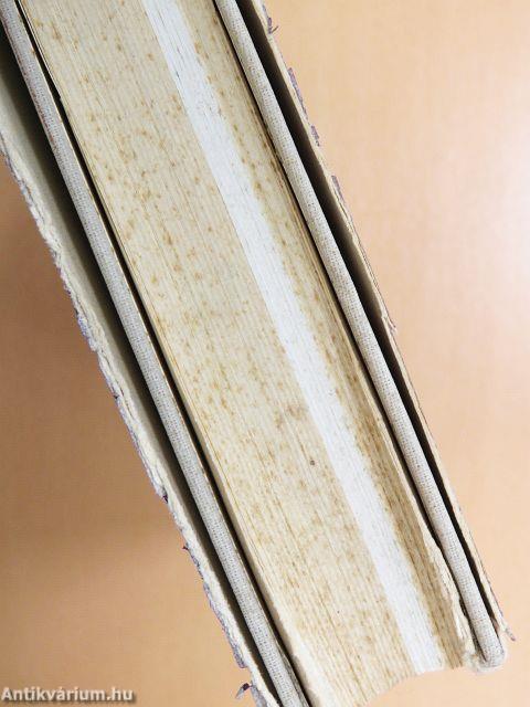 A magyar népi lakáskultúra kialakulásának kezdetei