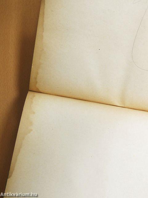 Küzdelem a szocializmusért II.