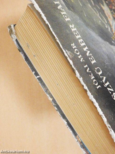 A kőszívű ember fiai