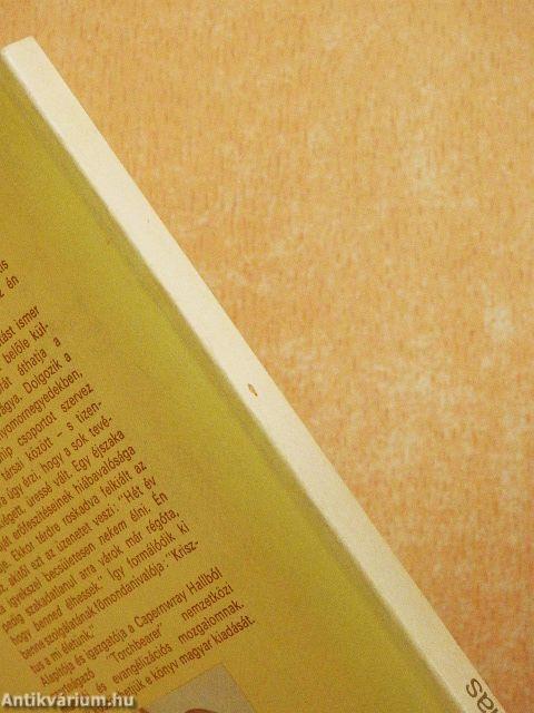 Krisztus megtartó élete