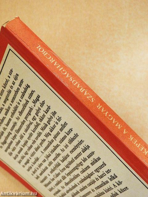 Csataképek a magyar szabadságharcból