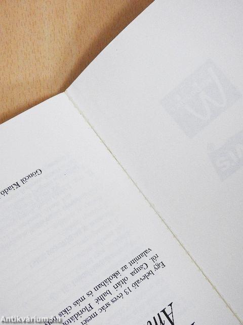 Iskolabusszal Amerikában