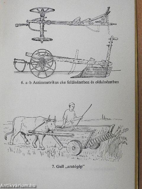 A parasztság a középkori Nyugat-Európában