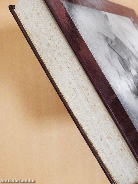 Horváth Sándor O. P. emlékkönyv